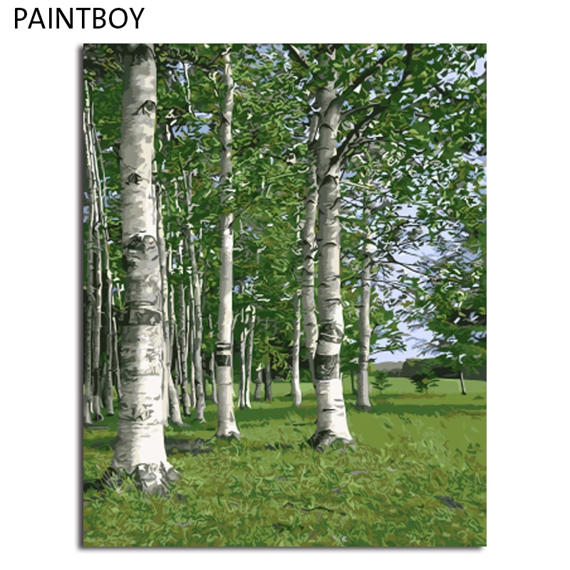 

PAINTBOY Morden Landscape Framed Wall Art Picture Painting By Numbers DIY Digital Canvas Oil Painting Home Decor GX9384