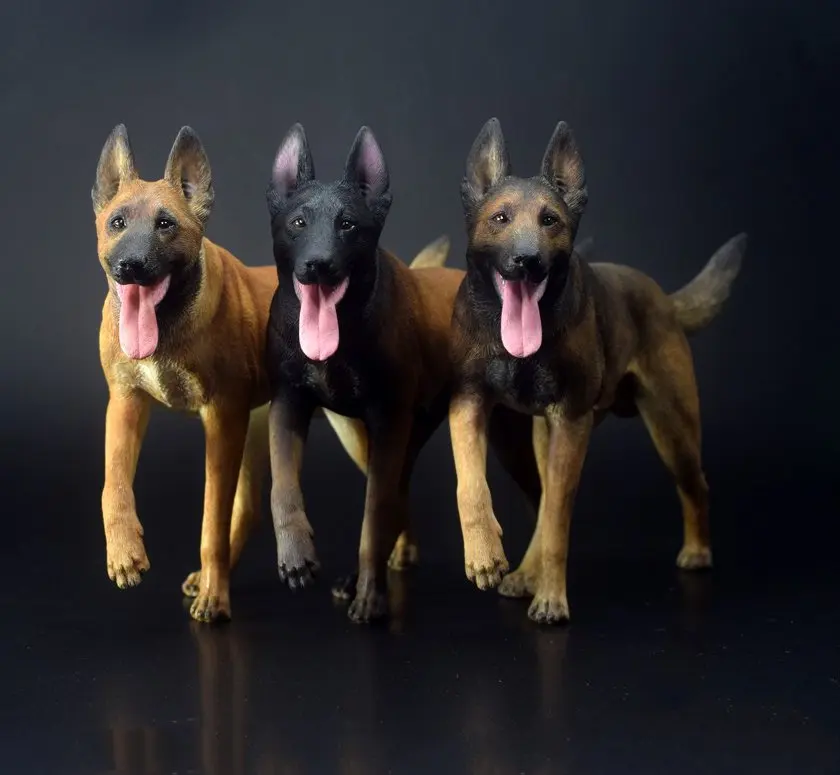 

ToysCity TC-M9010 1/6 Working Dog Series Malinois 2.0 ABC Collection Figure for 12inch Action Figure DIY