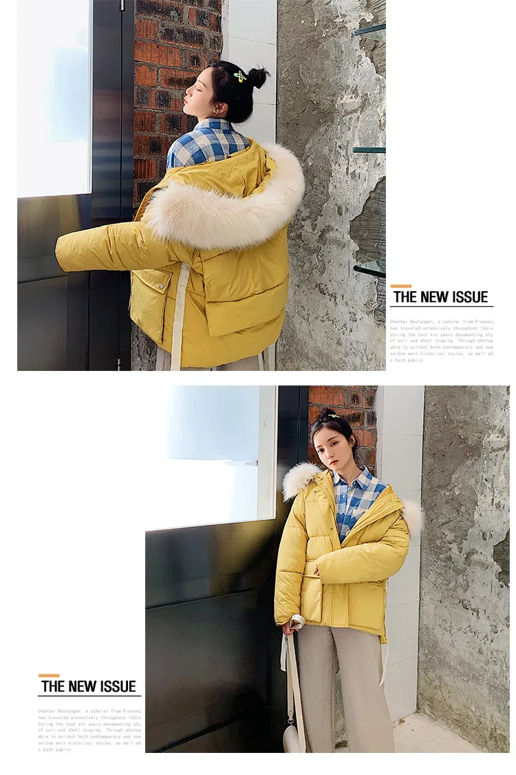 Paragraphs short _24.jpg