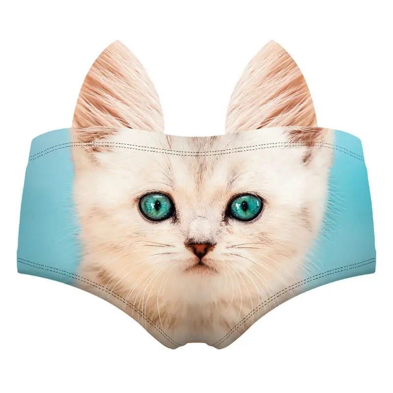 55461 MINT CAT wiz back