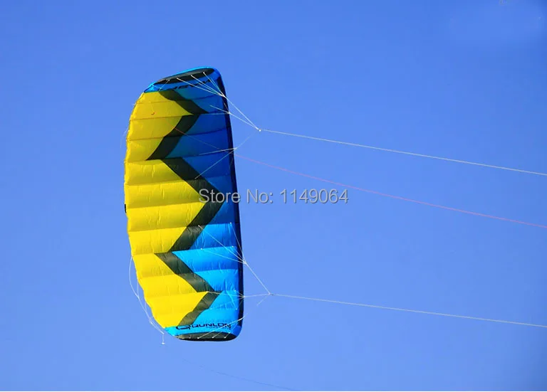 

free shipping high quality 4squaremeter wasp4 quad line stunt kite surf desert eagle outdoor fun sports kite parafoil crafts