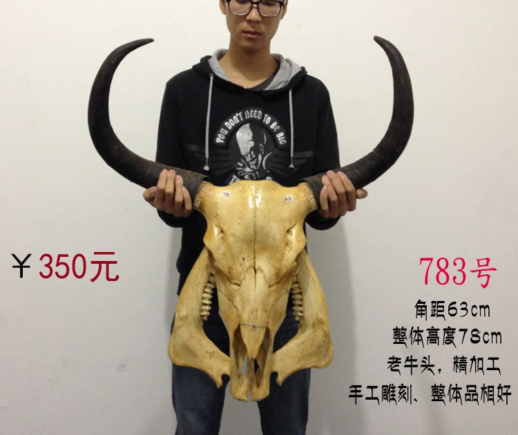

head Arts Crafts The bone ornaments handicrafts sheep bone specimens handicraft Tau