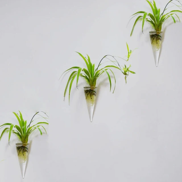 Mkono 2 Pcs Wall Mounted Gl Vase Hanging Planter Plant Mkono 2 Pcs Wall Mounted Gl Vase Hanging Planter Plant Flower Pot Small Plants Terrarium