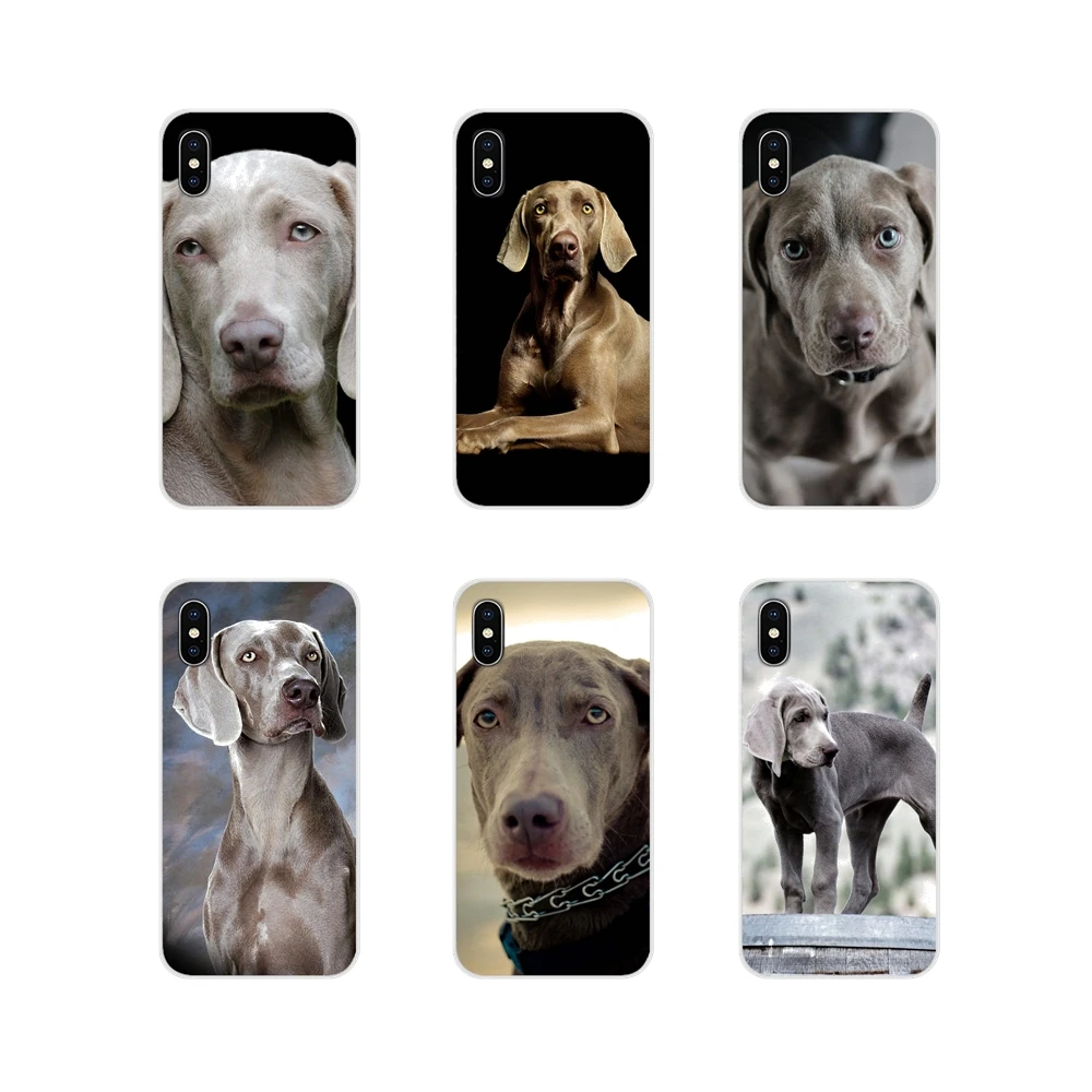 Weimaraner собака искусство для Samsung Galaxy J1 J2 J3 J4 J5 J6 J7 J8 плюс 2018 Prime 2015 2016 2017 аксессуары