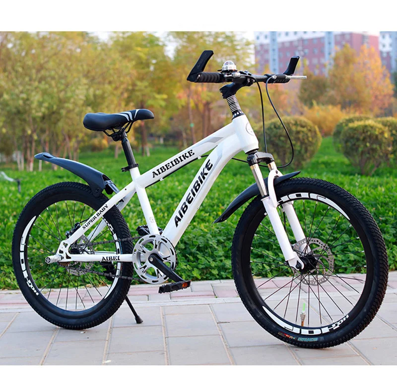 Sale Adult Mountain Bike 24-Inch Single-Speed Two-Disc Brake Shock Absorber Student Mountain Bike 17