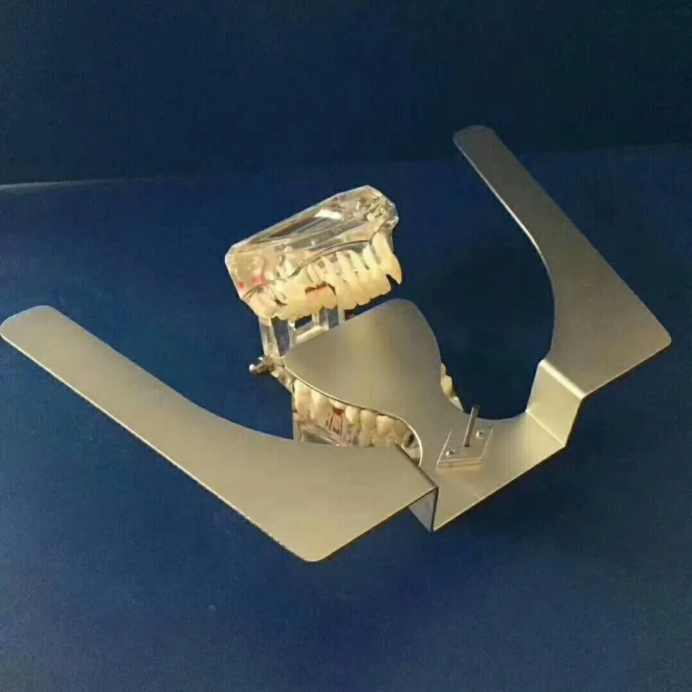 Dental Occlusal Maxillary Casting Jaw Fox Plane Plate Complete Denture