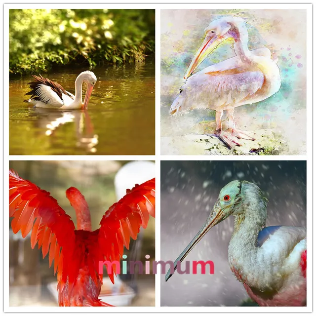 Home Decor Diamond Embroidery Mosaic Tropical Bird Diy 5d Home Decor Diamond Embroidery Mosaic Tropical Bird Diy 5d Painting Pelicans Cross Sch