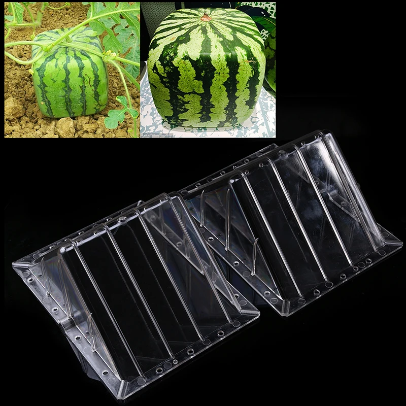 DIY большой пластиковый в форме квадрата в форме сердца Форма арбуз формы для формовки прозрачный формируя растущий форма для нарезки фруктов сад поставщики