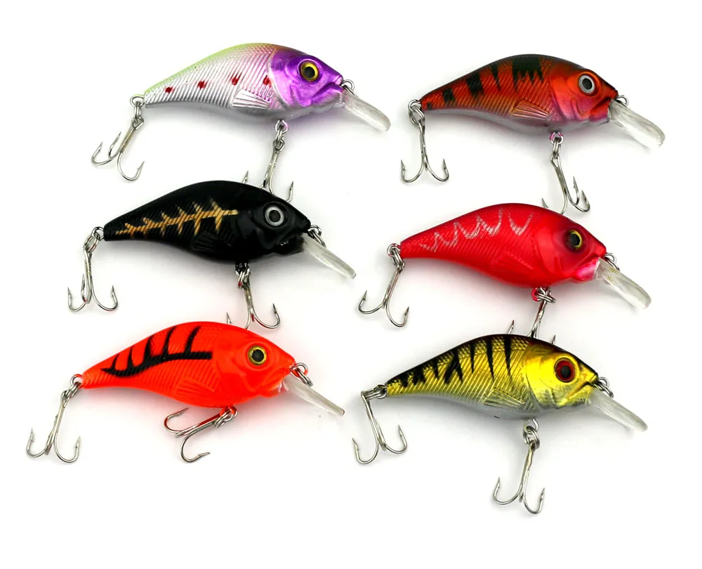 CB007 BAIT (7)