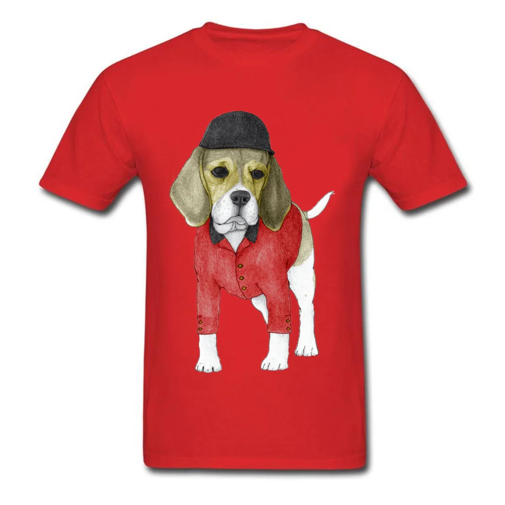 Beagle_red