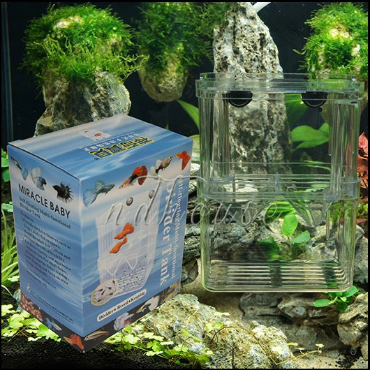 Ikan Kotak Pemuliaan Aksesoris Inkubator Isolasi Kotak Kotak Ikan