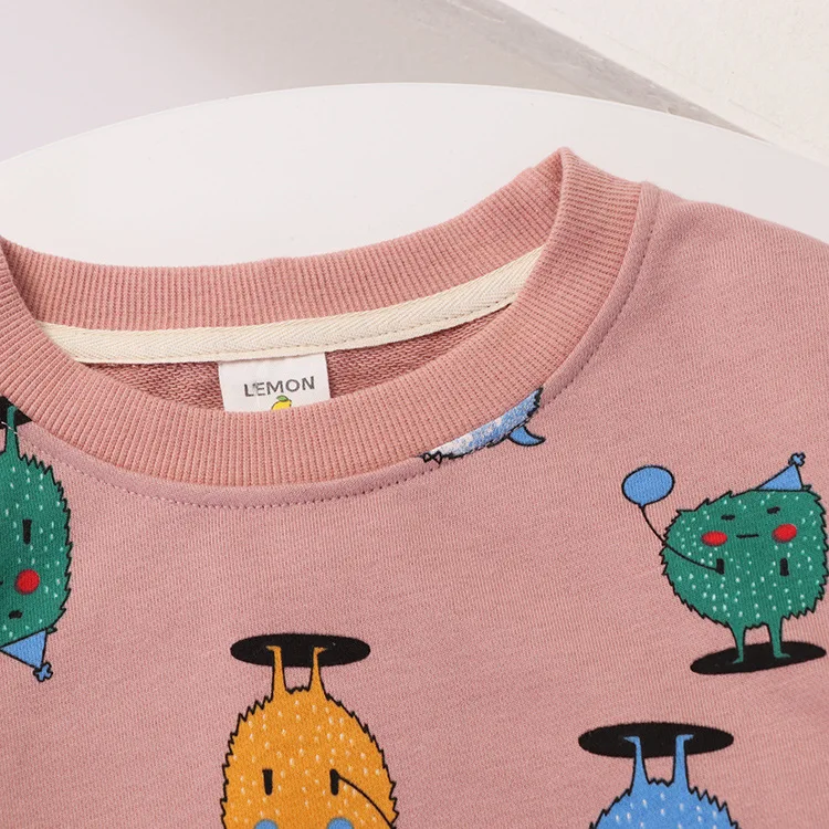 Children Sweatshirt For Baby Boys Girls Tops Tees Toddler Boy Clothing Long Sleeve T Shirt Kids Clothes Cartoon Hoodies T Shirts (11)