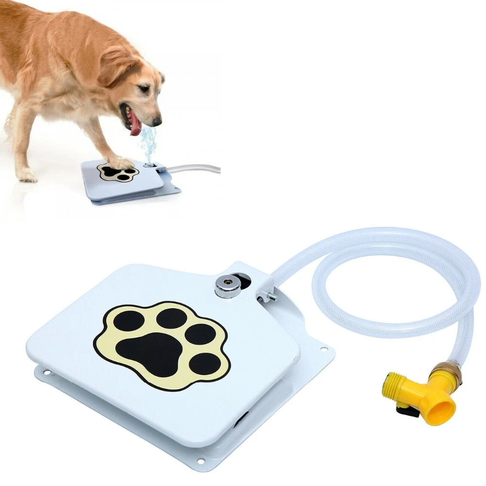 dog foot pedal water fountain
