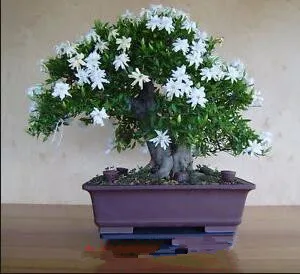 QQ20170318151237