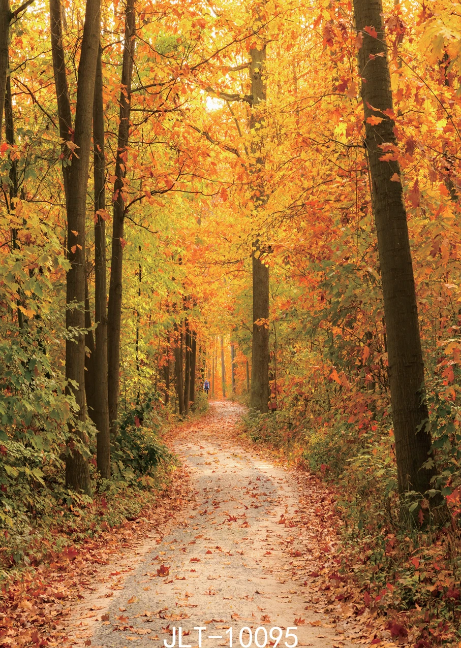 Trail In Autumn Forest Photography Backdrops Woodland Customized Children Baby Photoshoot Background For Photo Studio Background Aliexpress