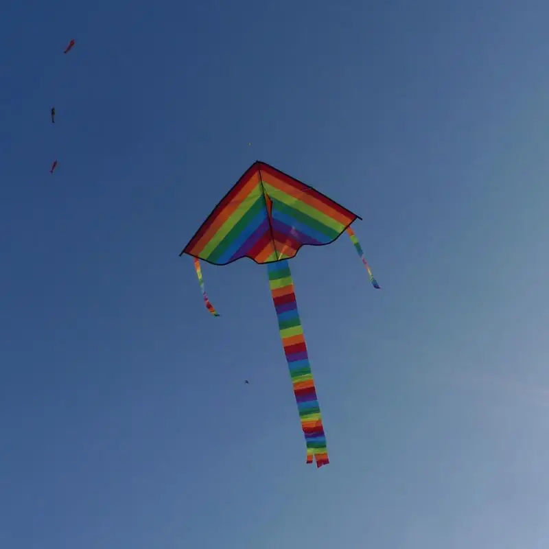 47 'Wide Mit 30m Kite  Heiß Riesige Rainbow Delta Kites für Kids \u0026 Adults 