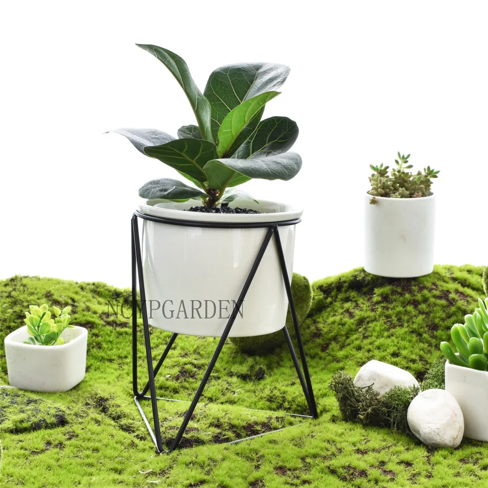 5x Mini Ceramic Plant Pot Owl Succulent Flower Planter Bonsai Box Garden Home 