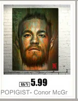 UFC 196 Conor McGregor VS Nate Diaz художественный настенный Шелковый плакат 13x16 дюймов картина для декора гостиной-008