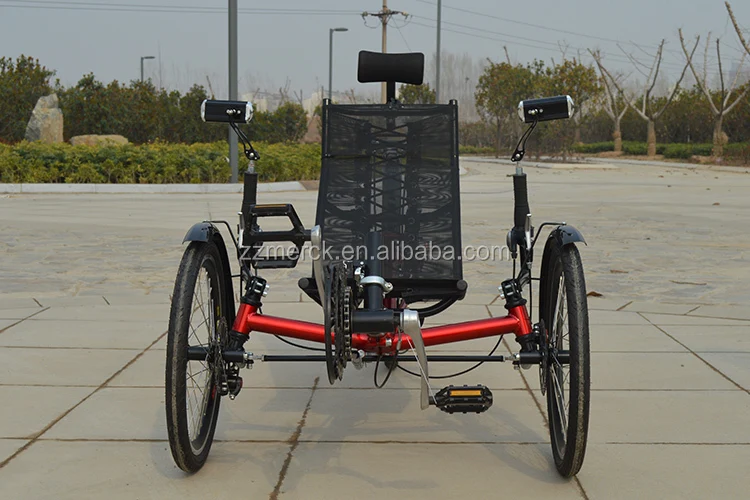 recumbent tadpole trike 4.jpg