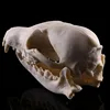 Resin Craft Animal Skull Sculpture 3