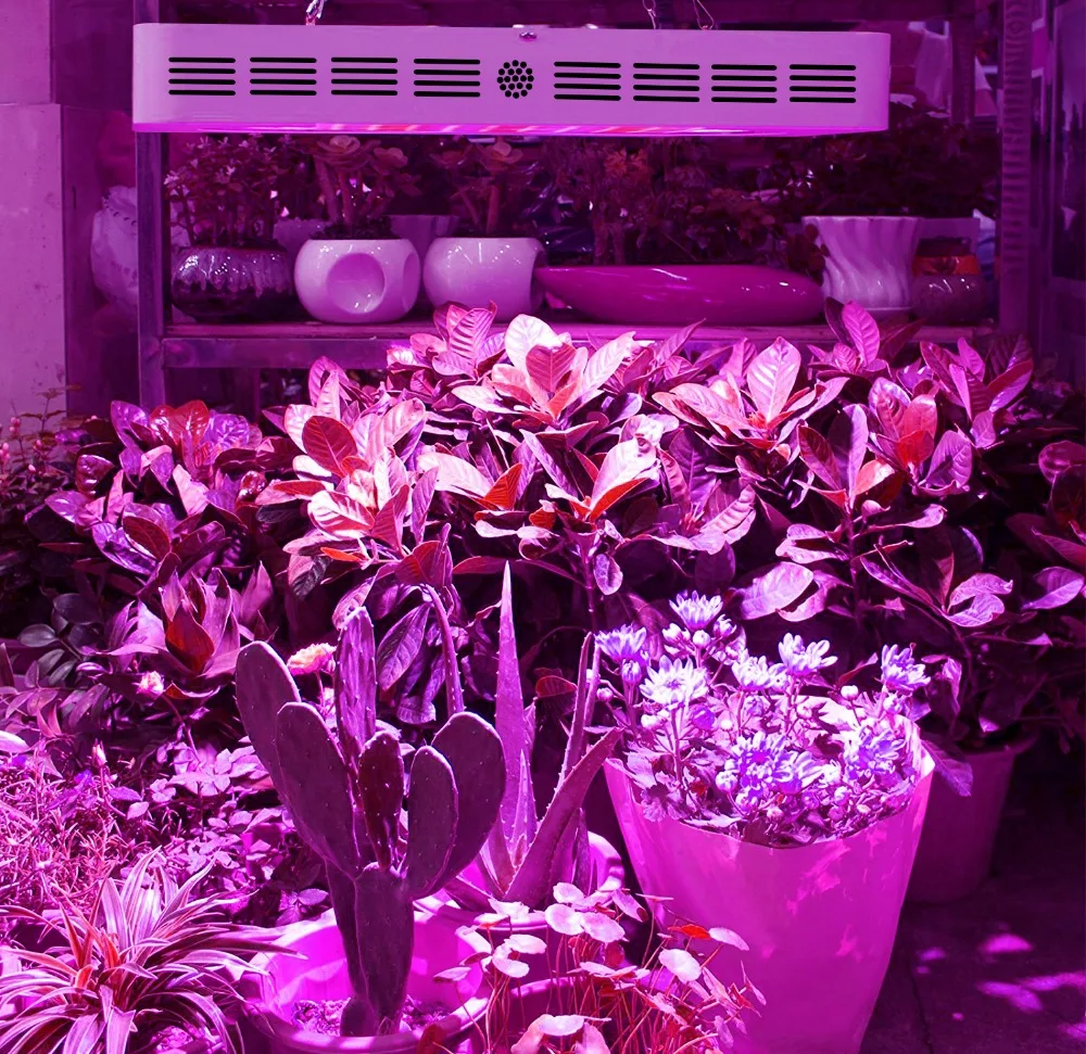  Led Grow Light Full Spectrum 600w 800w 1000w 1200w 1500w 1800w 2000w for Indoor Tent Greenhouses Hy - 32852194638
