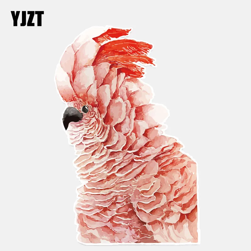 

YJZT 11*16.6CM Unique Macaw Parrots PVC Colored Decor Car Sticker Bumper Car Window 11A0139