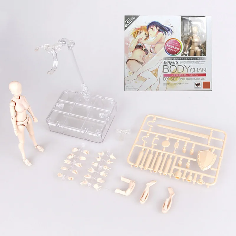 Аниме Archetype He She Ferrite подвижное тело Feminino Kun Чан ПВХ фигурка модель игрушки кукла