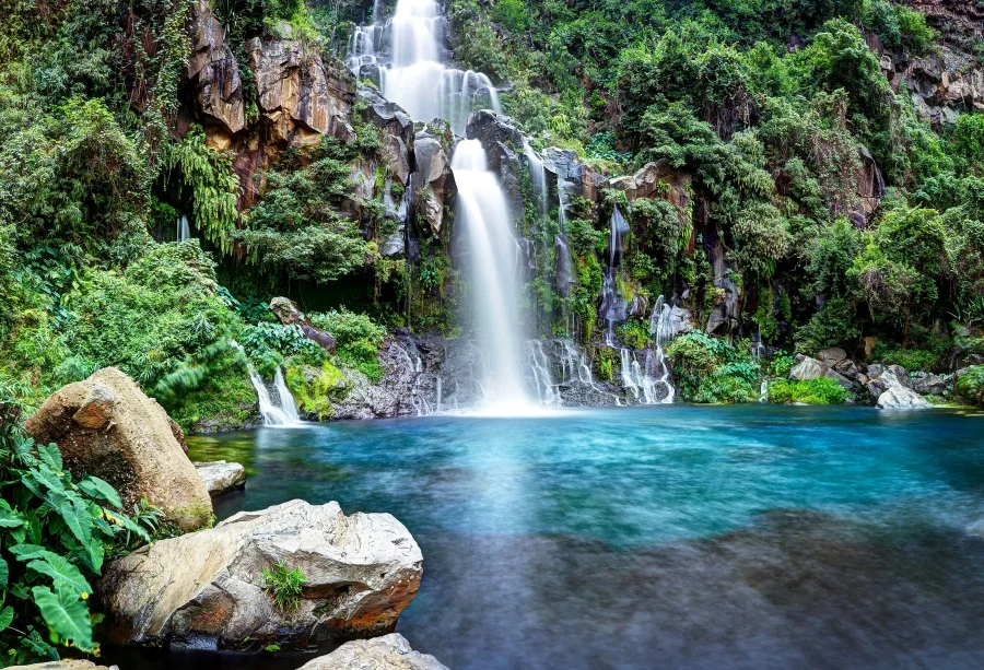 Laeacco printemps forêt montagne cascade paysage Portrait photographie