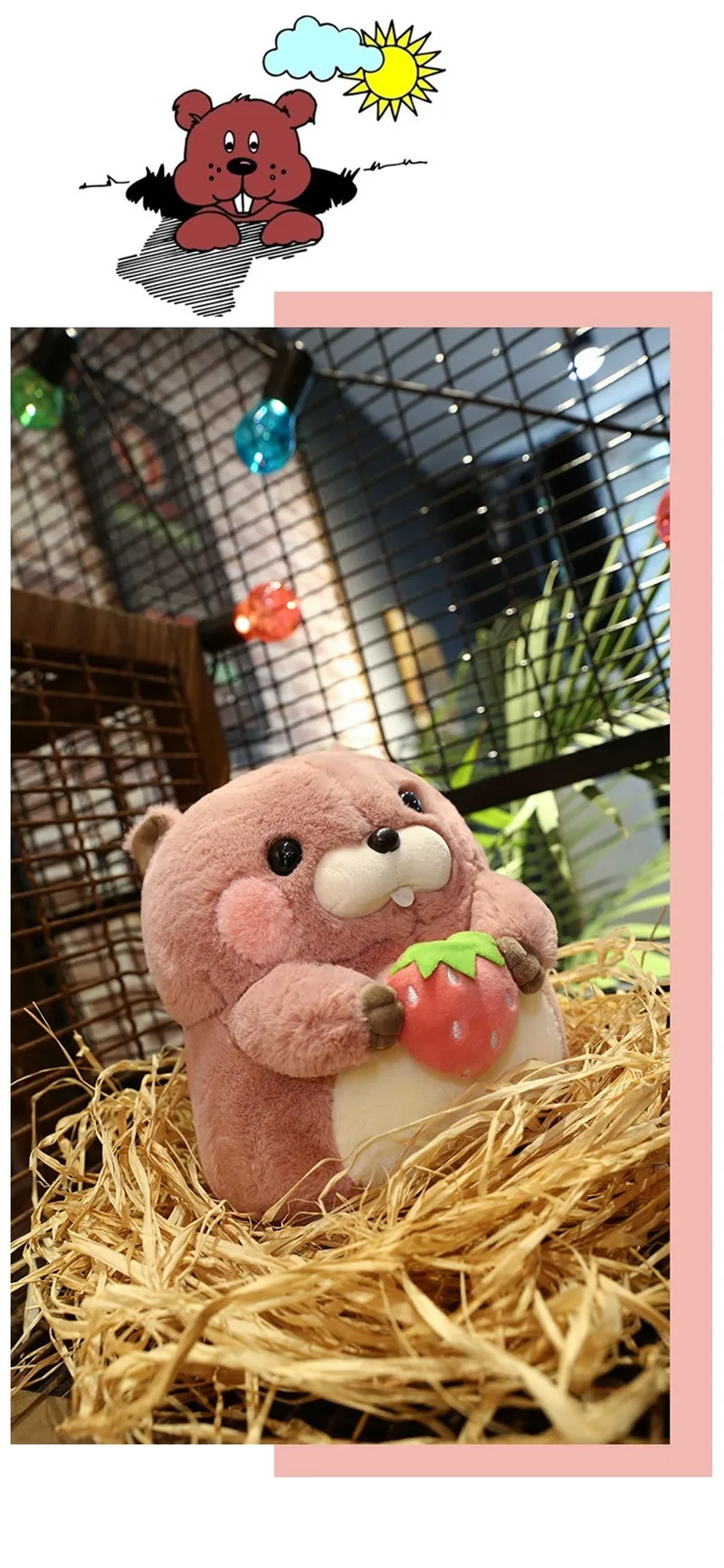 DOLLS (24)