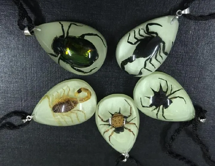 25 шт настоящее насекомое ювелирное изделие смешанный скорпион паук Жук стиль крутой волшебный кулон