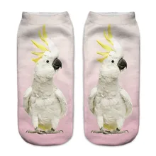 ; белые короткие носки унисекс из полиэстера с объемным рисунком попугая; сезон весна-осень Новое поступление; модные носки