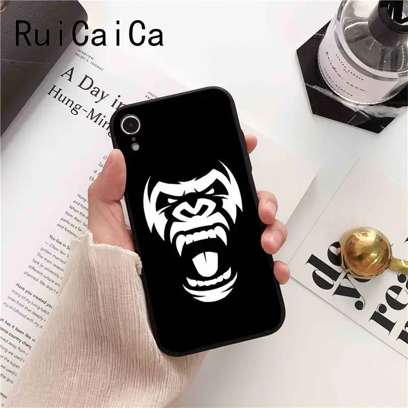 Animal monkey lion tiger leopard shark dog