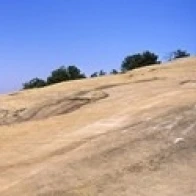 Trees on a mountain  Stone Mountain  Atlanta  Fulton County  Georgia  USA Poster Print (36 x 13)