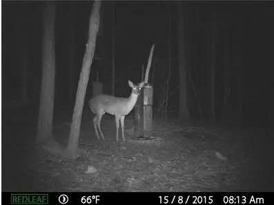 HUNTING CAMERA (3)