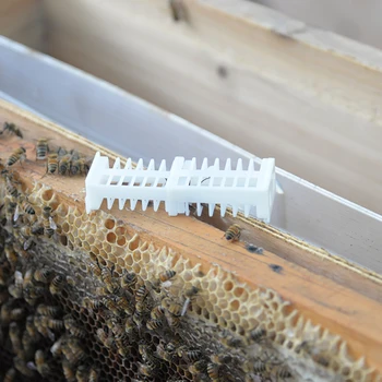 

250pcs New type apiculture bee queen rearing cages cage cell catcher cup box beekeeping supplies equipment for bees tools system