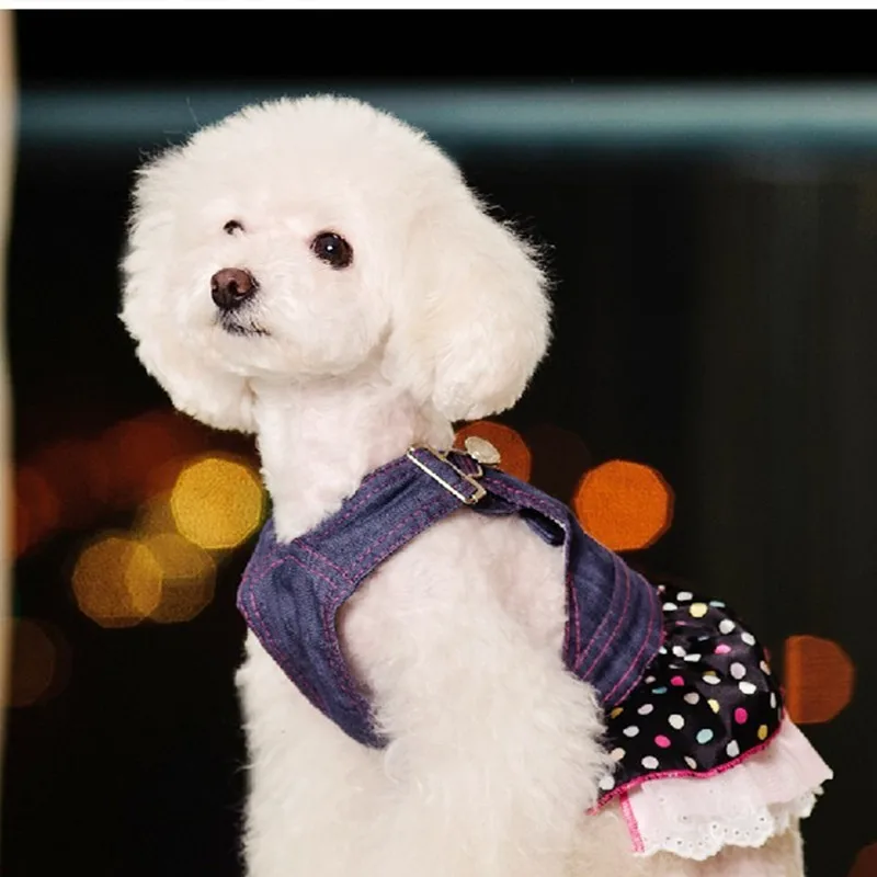 Модная одежда для собак с узором в виде сердца, джинсовые платья, классная летняя одежда для маленьких собак DC775