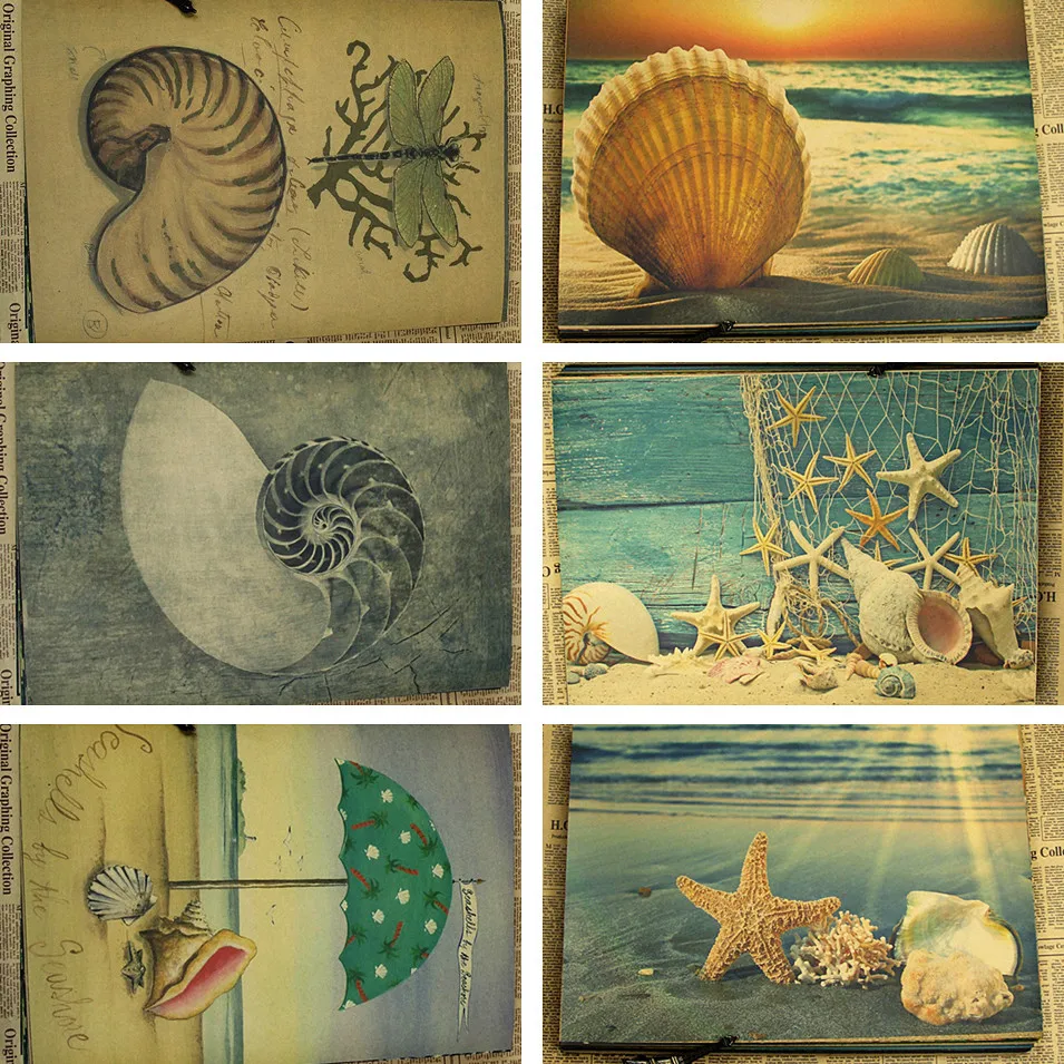 Ilustrasi Yang Shell Organisme Laut Vintage Retro Kraft Dilapisi