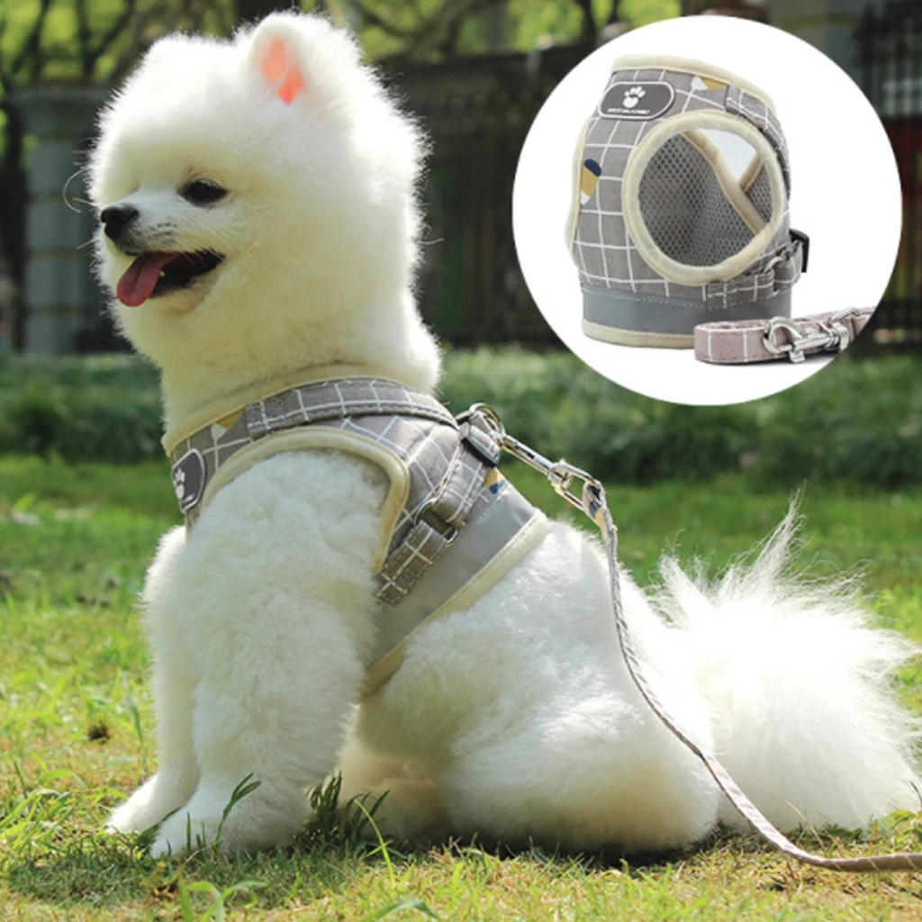 Soft Mesh Pet Harness Set Breathable Puppy Vest For Small Dogs Medium Dogs Yorkie Teddy Reflective Walking Lead Leash Sets