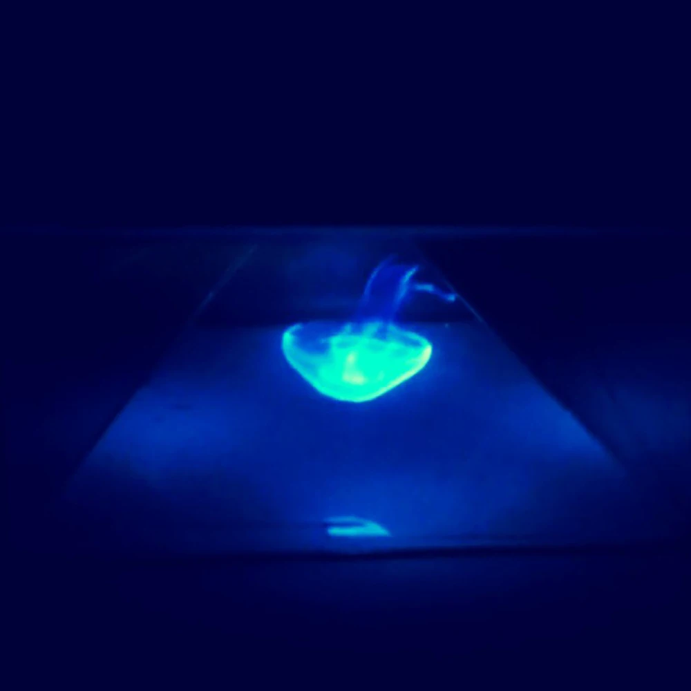 4093302081_783729238