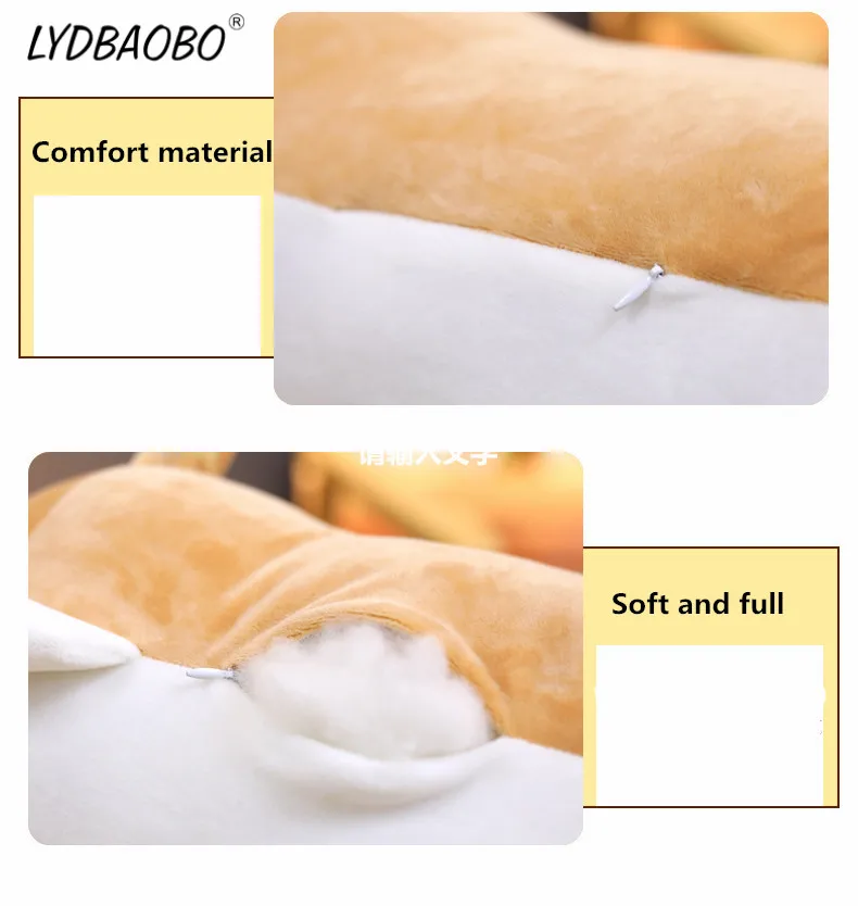 HTB1Lvs2hnvI8KJjSspjq6AgjXXa6