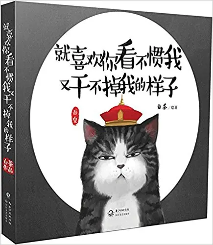 

I do not like you can't read me in chinese edition
