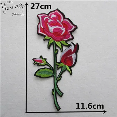 C5633 (3) - 