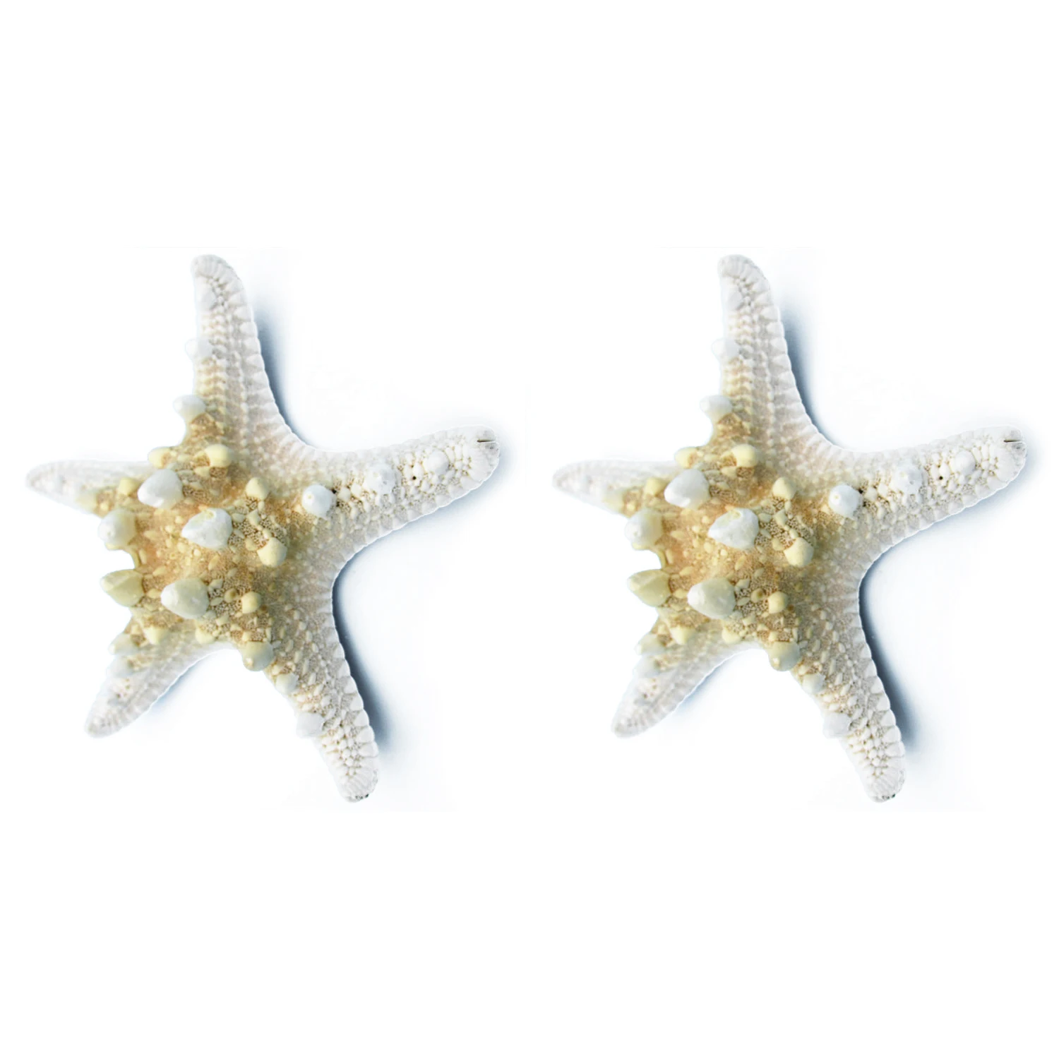 

2pcs Natural Starfish Sea Star shell Making DIY Craft Decor