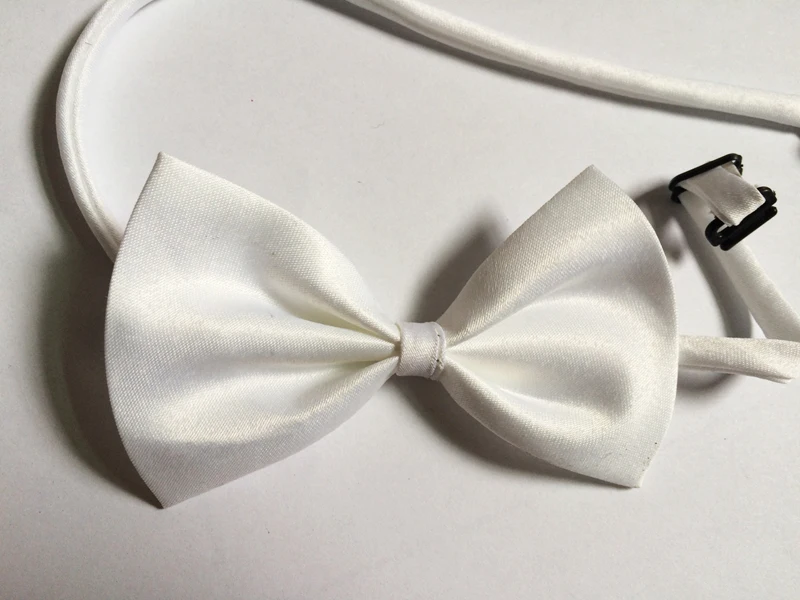 dog bows white