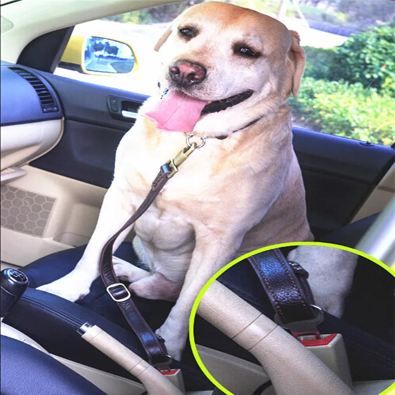 Car Safety Seat Large Dog Belt Leads Pet Leash Original Leather Travel