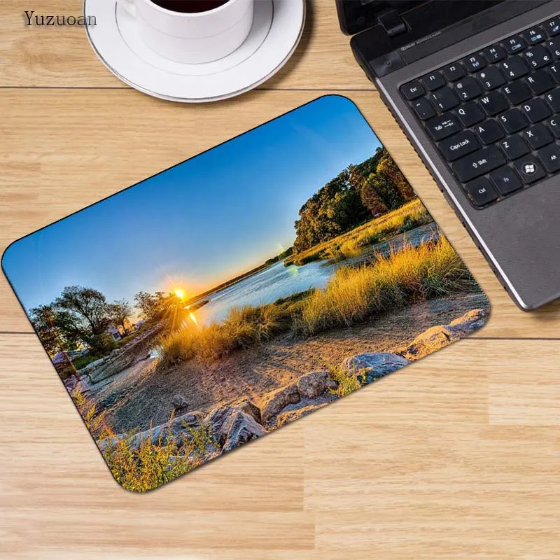 31lake-sunrise-sun-grass-forest-tree-rock