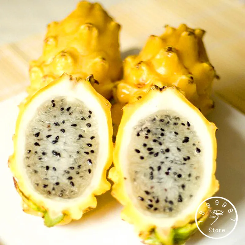 

Best-Selling!100 PCS/Pack Yellow Pitaya Fruit Trees bonsai Perennial Plants Non-gmo Hylocereus Dragon Fruit garden,#TDIRFK