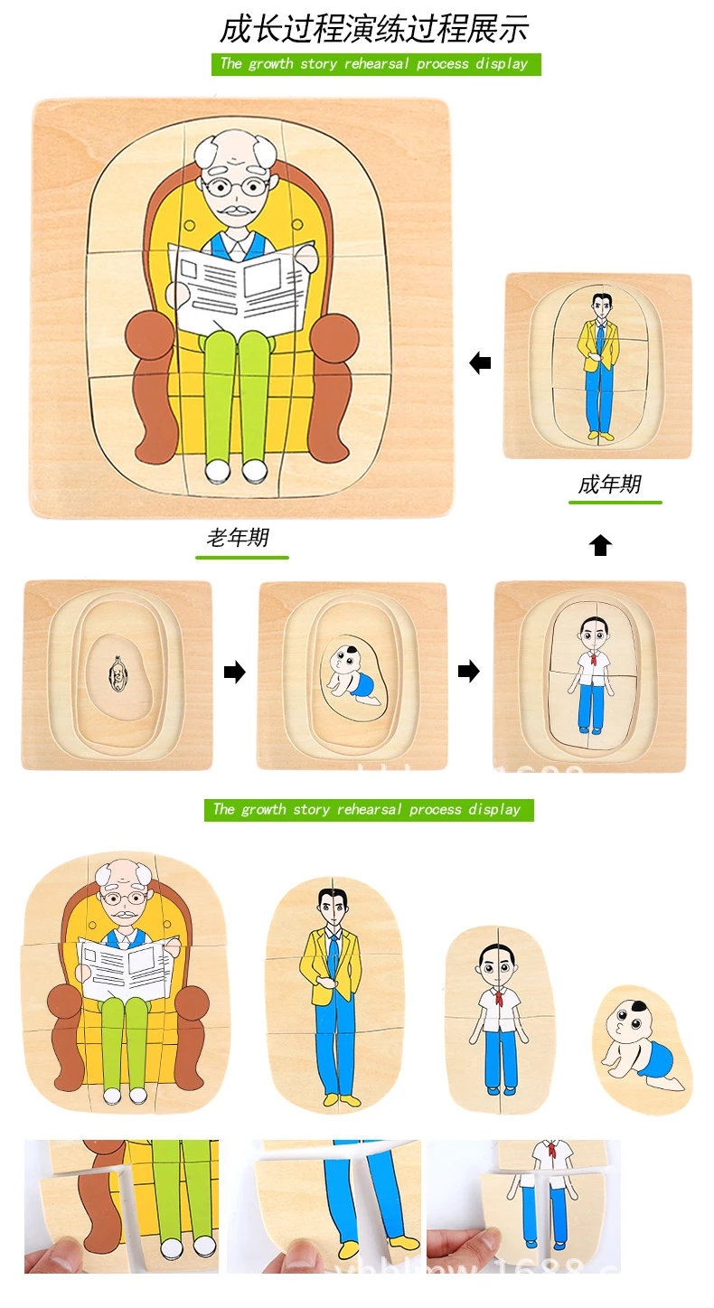 Многослойный процесс роста головоломка животное/растение деревянные пазлы Дети Монтессори развивающие обучающие игрушки для детей