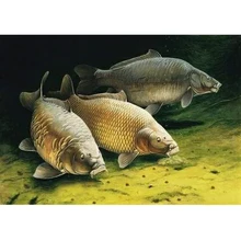 Картина с бриллиантами eigen foto Обычная рыба внимание регион за 5d бриллиантовый рисунок Рождество карты ужас Хэллоуин Декор