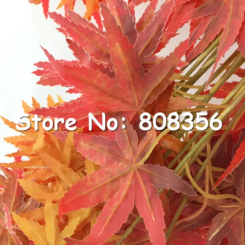 15_